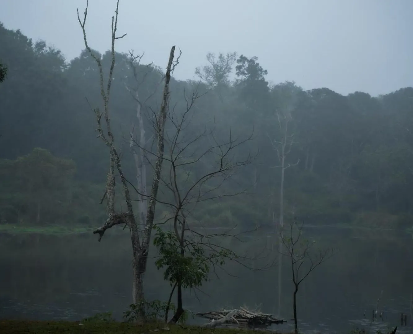 Kuruva Island Resort And Spa - By Kabini Breeze, Wayanad Mananthavady 3*,