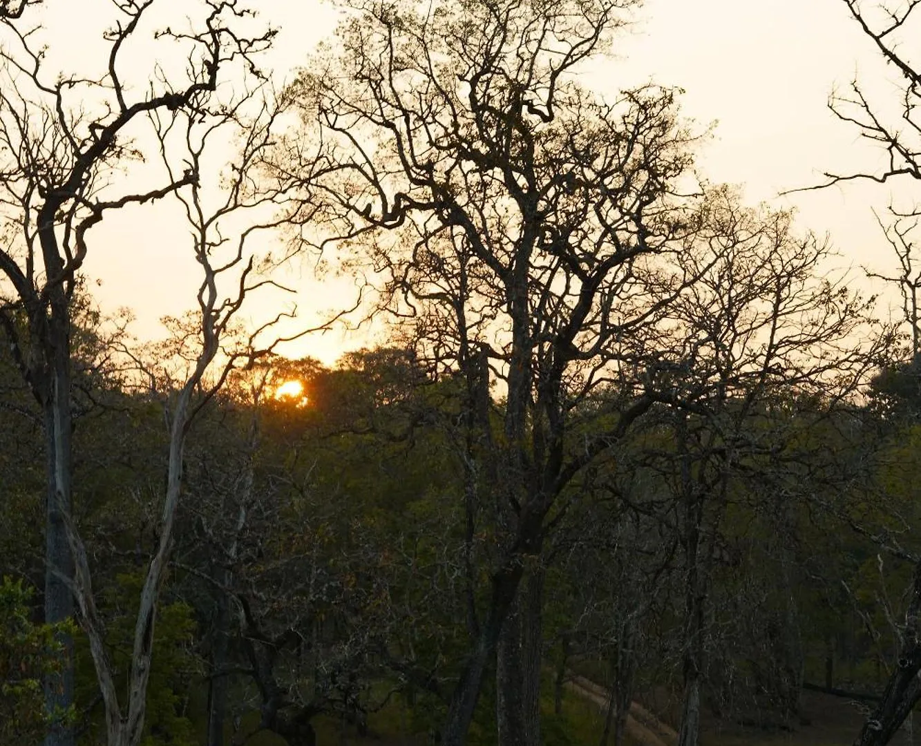 Kuruva Island Resort And Spa - By Kabini Breeze, Wayanad Mananthavady Ξενοδοχείο